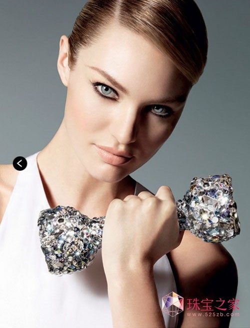 Swarovskiʩˮ2013ĹƬ