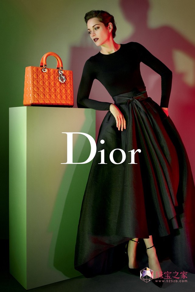 Lady Dior 2013 Ƭ