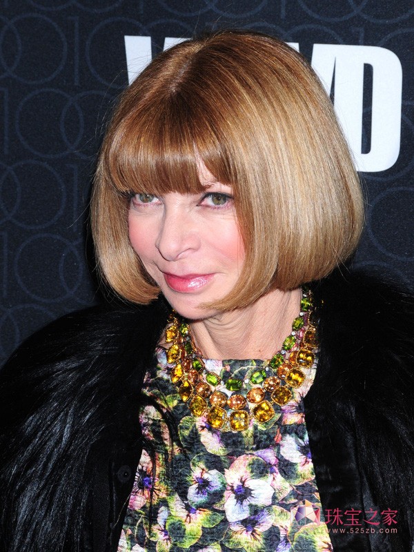 Vogueܱలȡͼ (Anna Wintour)